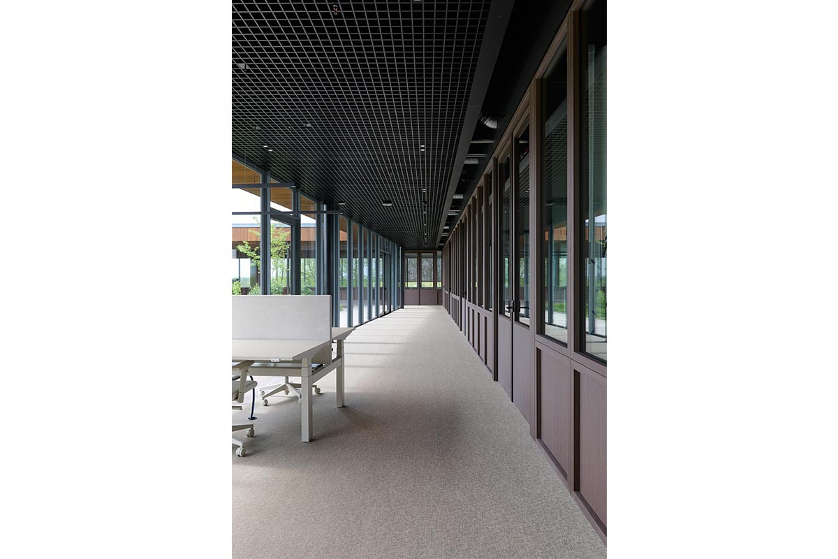 8002 UMBER BROWN 11.jpg